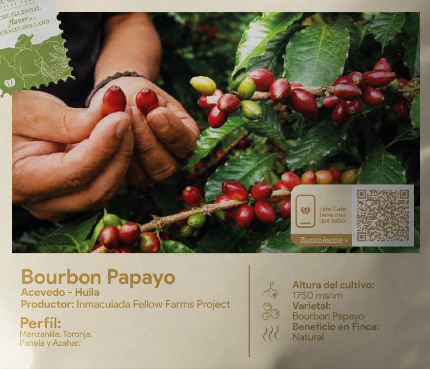 Bourbon Papayo