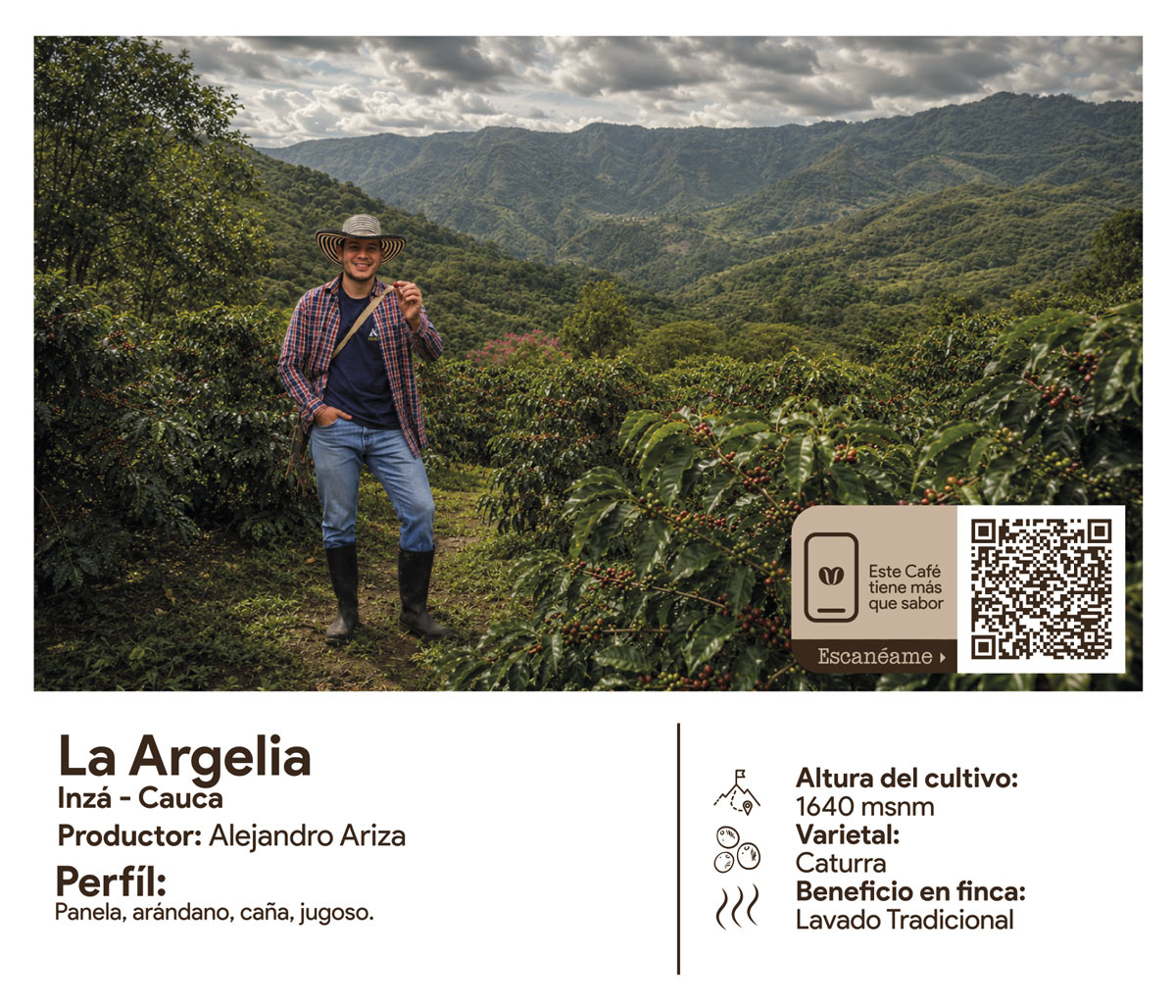 La Argelia