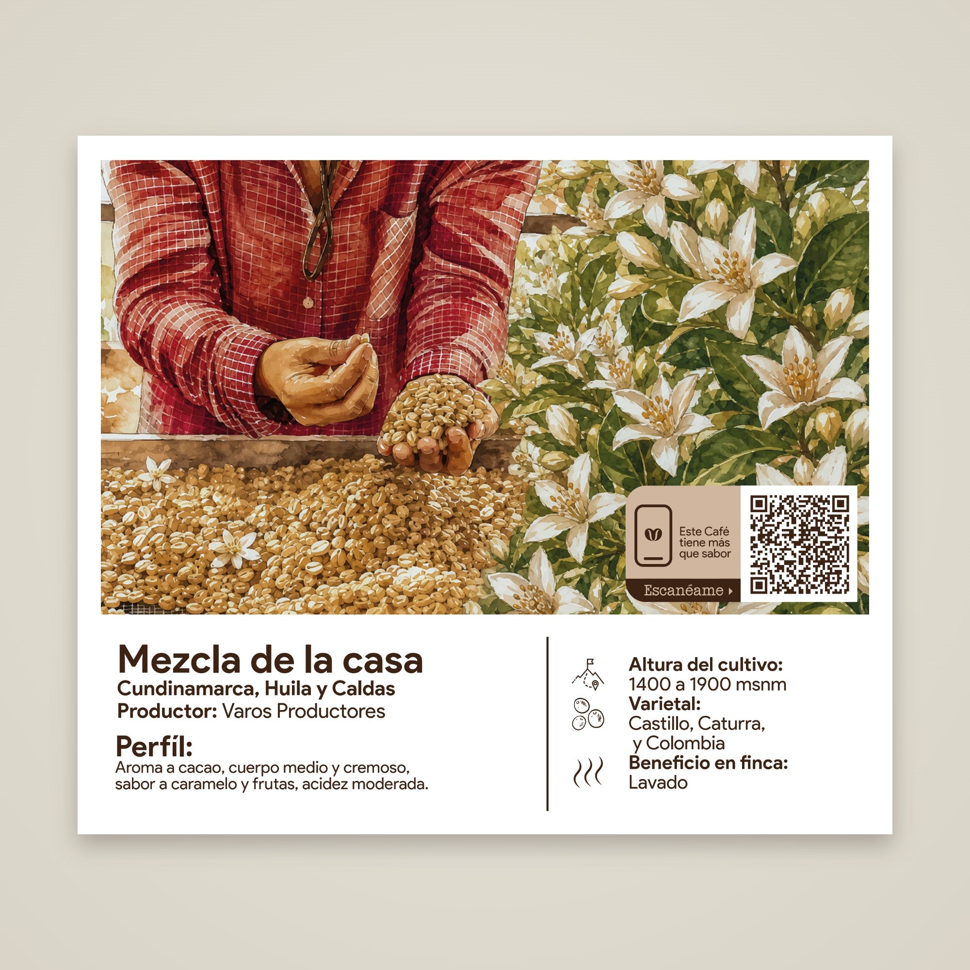 Etiqueta del café Mezcla de la Casa: origen, productores y perfil