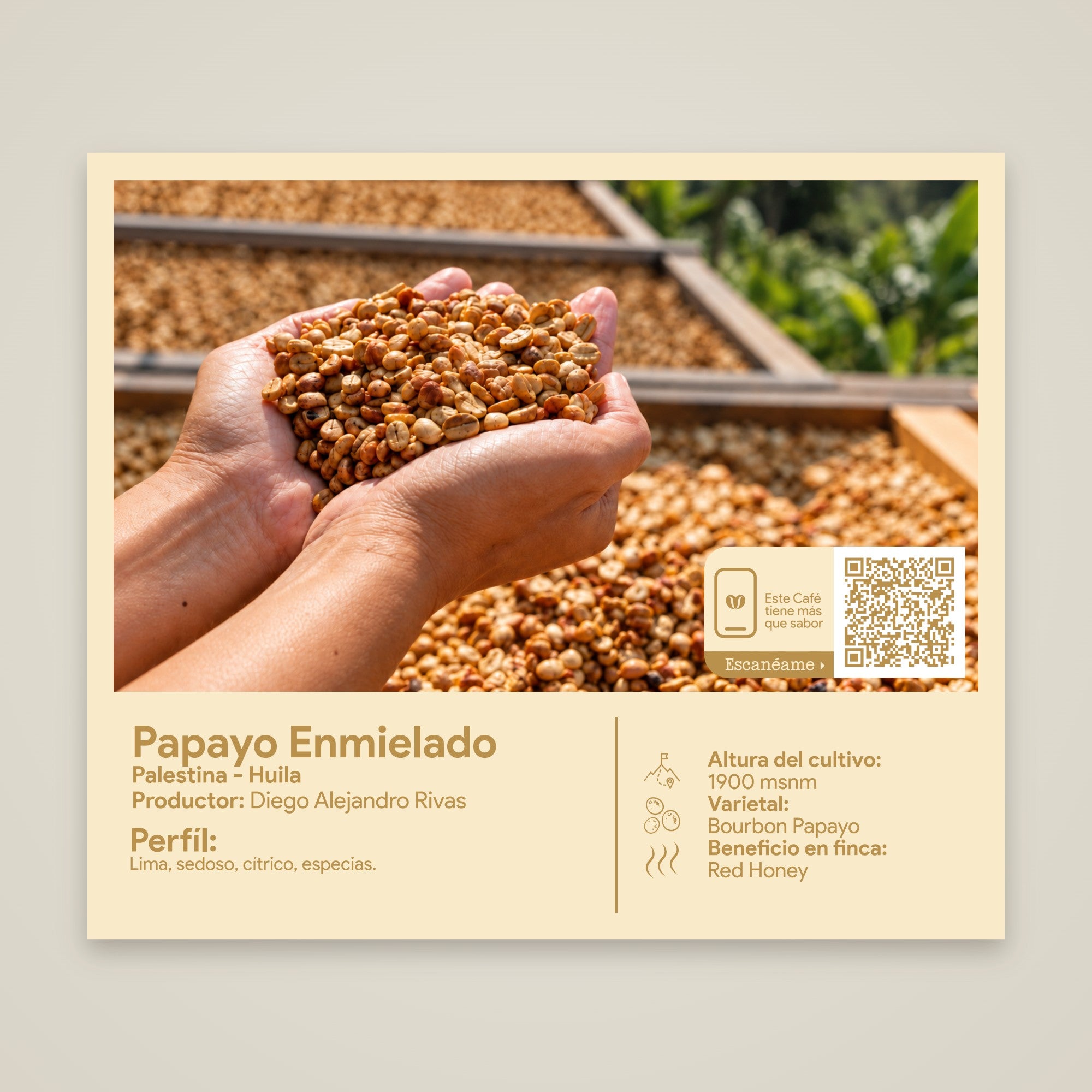 Etiqueta del café Papayo Enmielado: origen, productor y perfil